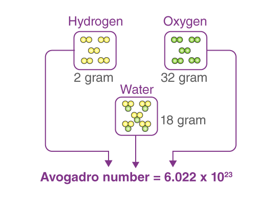 Avogadro Hypothesis